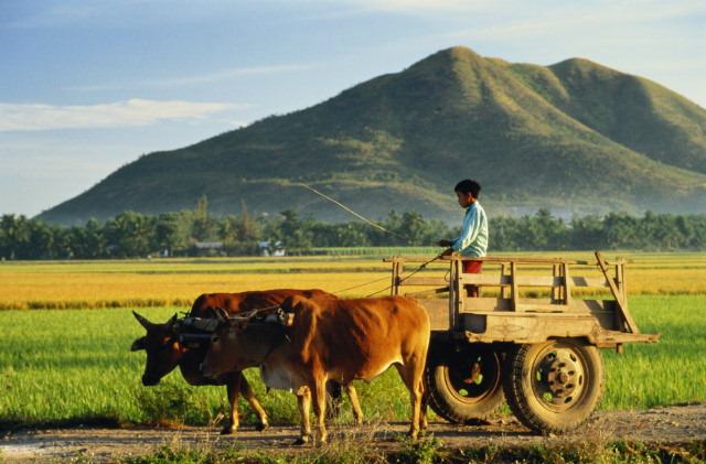 Những rút ra từ nghiên cứu luật nông nghiệp Trung Quốc