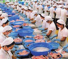 Nhật Bản: Thị trường rộng mở nhưng nhu cầu của thị trường là gì?