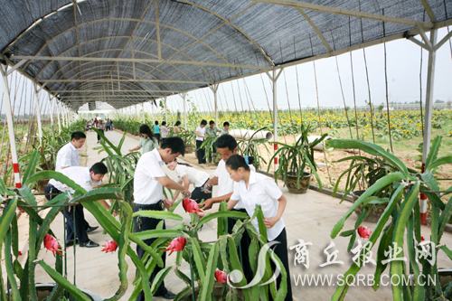 Triển vọng ngành nông nghiệp Trung Quốc năm 2008