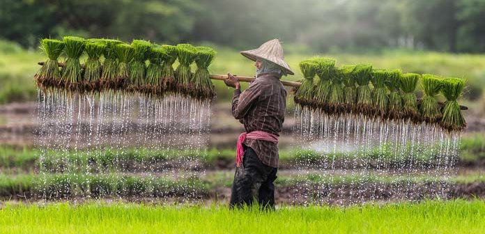 agro.gov.vn