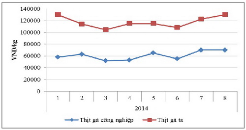 Tổng kết diễn biến giá thịt tháng 8/2014