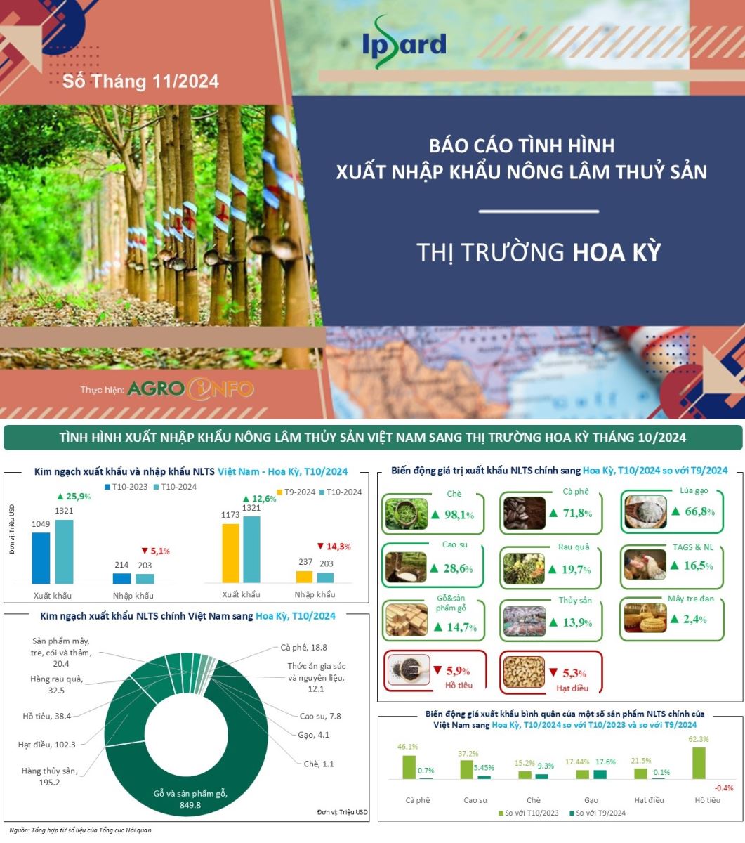 REPORT ON THE SITUATION OF EXPORTING AFFLITIES TO THE US MARKET IN NOVEMBER 2024