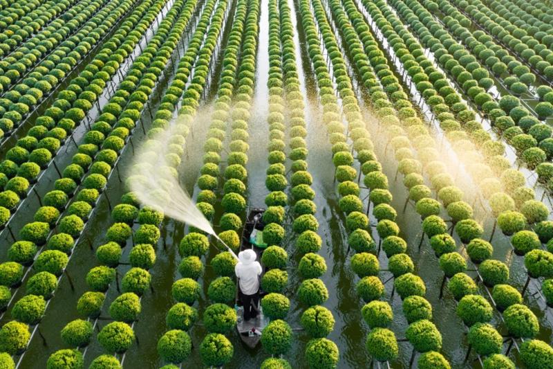 Agricultural production in the first 4 months of the year: The area of ​​newly planted forest increased sharply, aquaculture was positive changes