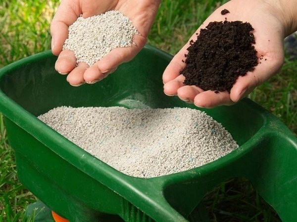 Fertilizer price in 2025 expected to be stable thanks to the consolidated supply