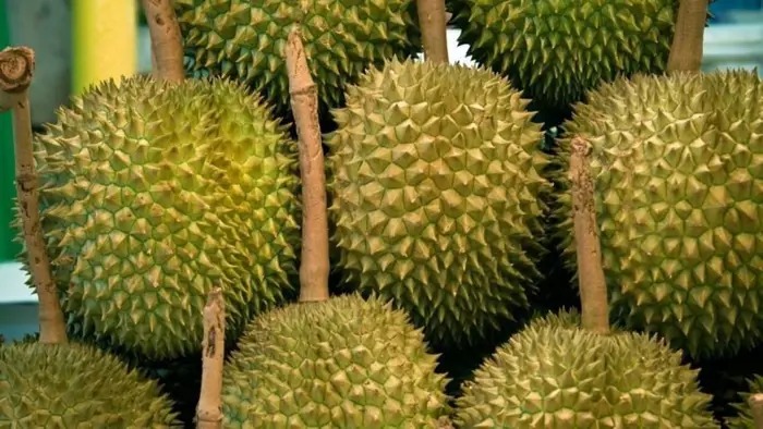 Durian price plunge