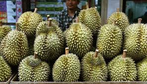 Off-season durian prices dropped sharply